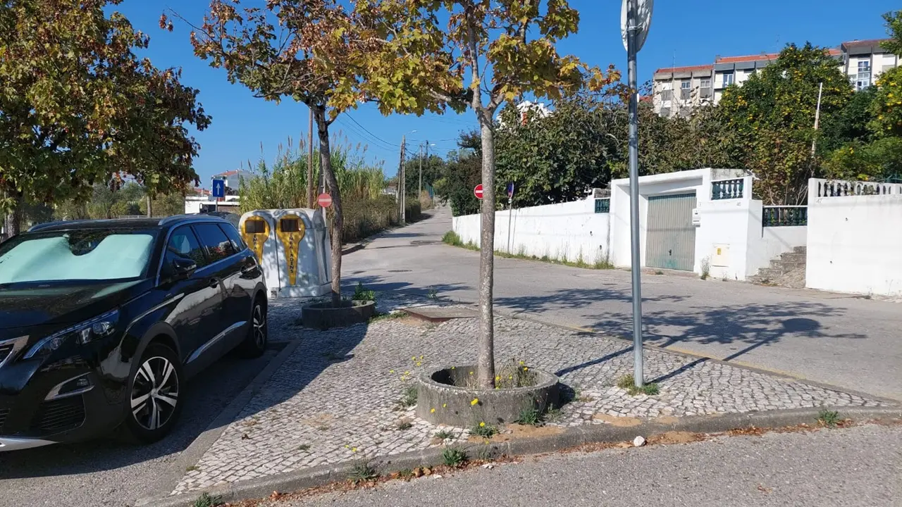 Rua residencial com um automóvel estacionado, árvores no passeio e contentores de reciclagem. Ao fundo, vêem-se edifícios e sinais de trânsito. Não há pessoas visíveis.