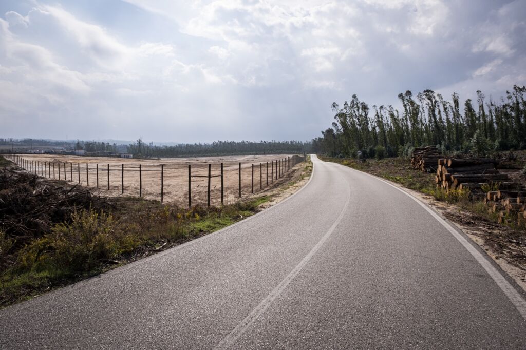 Uma estrada asfaltada atravessa uma zona rural. À esquerda vê-se um terreno amplo e vedado; à direita, há troncos empilhados junto a uma área arborizada.