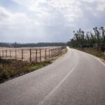 Uma estrada asfaltada atravessa uma zona rural. À esquerda vê-se um terreno amplo e vedado; à direita, há troncos empilhados junto a uma área arborizada.