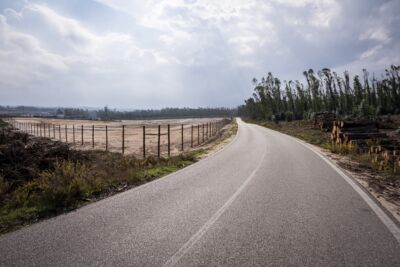 Uma estrada asfaltada atravessa uma zona rural. À esquerda vê-se um terreno amplo e vedado; à direita, há troncos empilhados junto a uma área arborizada.