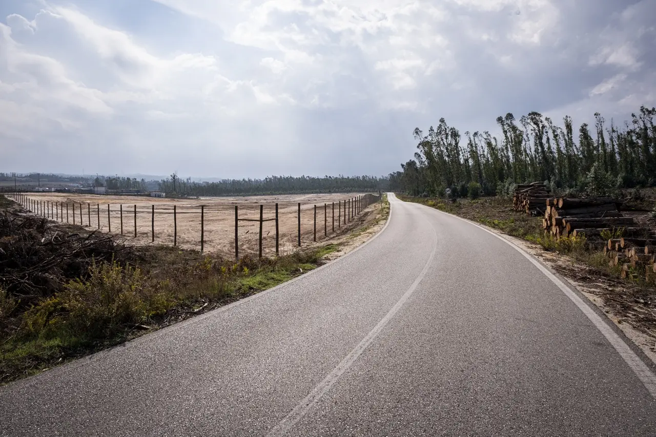 Uma estrada asfaltada atravessa uma zona rural. À esquerda vê-se um terreno amplo e vedado; à direita, há troncos empilhados junto a uma área arborizada.