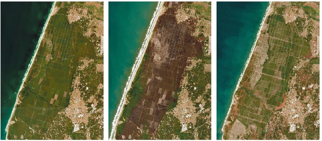 Três imagens de satélite mostram a mesma zona costeira em momentos diferentes. A vegetação apresenta uma alteração acentuada na imagem central, surgindo mais escura, e uma aparência mais verde na imagem da direita.