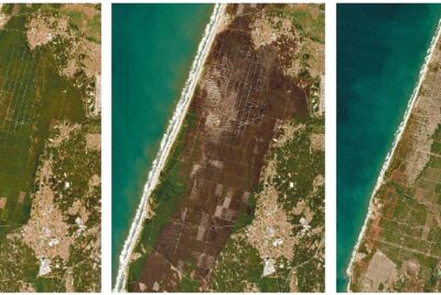 Três imagens de satélite mostram a mesma zona costeira em momentos diferentes. A vegetação apresenta uma alteração acentuada na imagem central, surgindo mais escura, e uma aparência mais verde na imagem da direita.